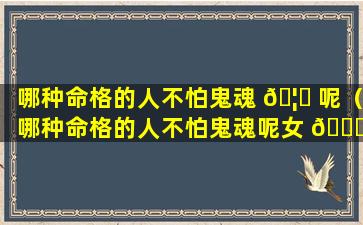 哪种命格的人不怕鬼魂 🦈 呢（哪种命格的人不怕鬼魂呢女 🐋 生）